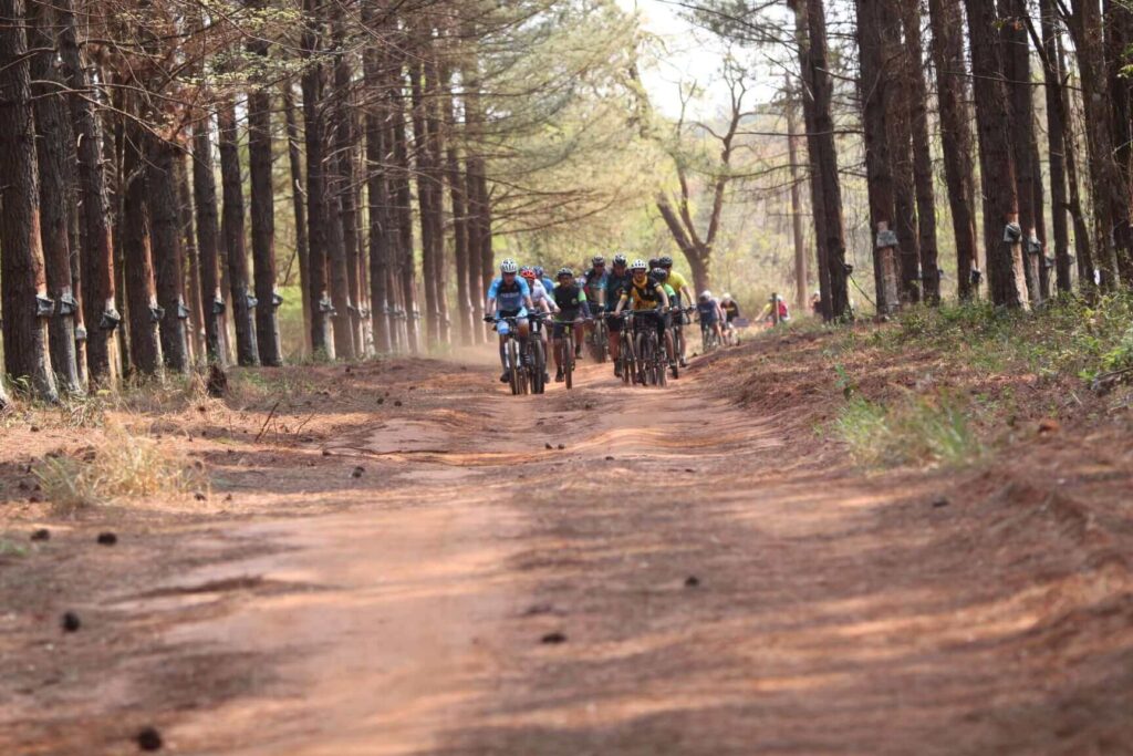 Ciclismo Horto Florestal Força no pedal
